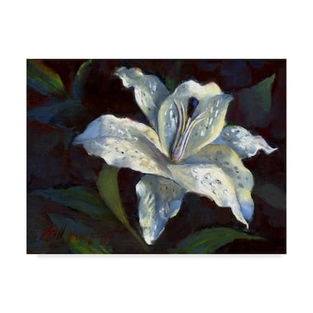 Hall Groat Ii 'White Lily Dark' Canvas Art,35x47